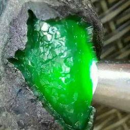 爆料翡翠直播视频大全最新,揭秘热门视频大全背后的魅力与秘密